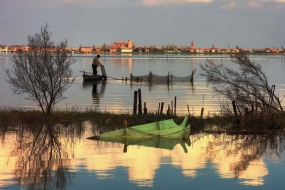 Arcidiocesi Ferrara-Comacchio